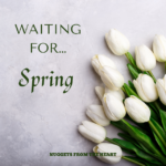 Waiting for Spring